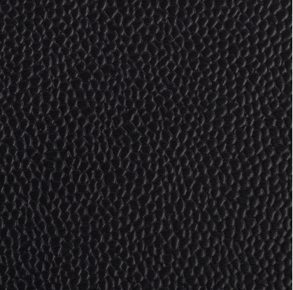 Celeris black caviar grain