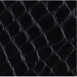 Celeris Faux croc gloss
