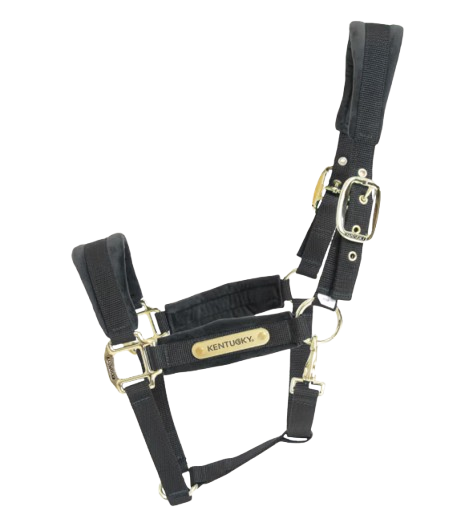 Kentucky Velvet Grime Sort