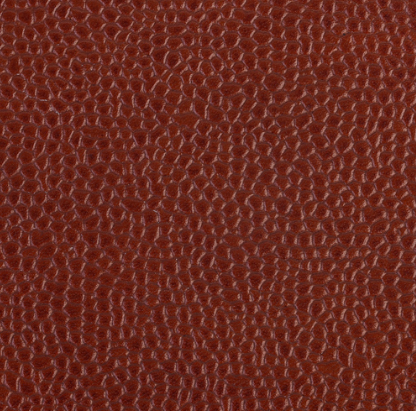 Celeris brown caviar grain