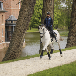 Kentucky bandagepad 45x30