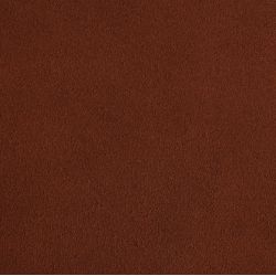 Celeris Suede