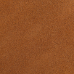Celeris Suede