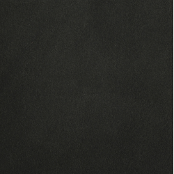Celeris Suede