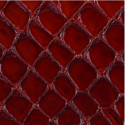 Celeris Faux croc gloss