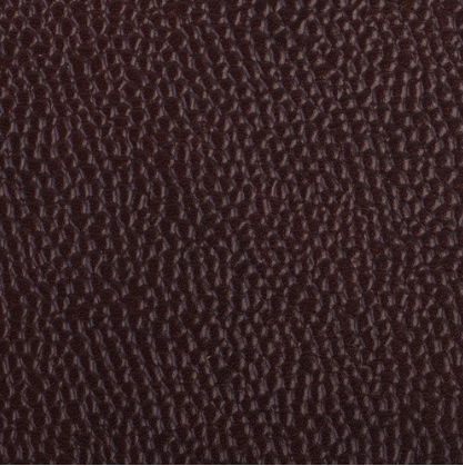 Celeris chocolate caviar grain