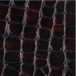 Celeris Faux croc gloss