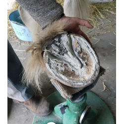 Natures Hoof Help Clay 250g