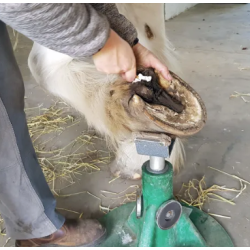 Natures Hoof Help Compress