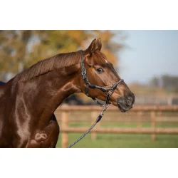 Equine-Microtec Refleks Rebgrime