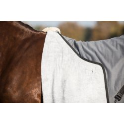 Equine-Microtec Microtec-one dkken