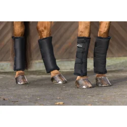 Equine-Microtec Trregamacher  