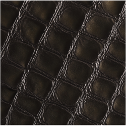 Celeris Faux croc gloss