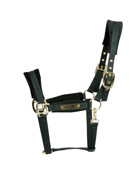 Kentucky Velvet Grime Pine Green