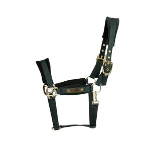 Kentucky Velvet Grime Pine Green