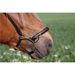 BESTILLINGSVARE Karlslund Ridekapsun med bjle 
