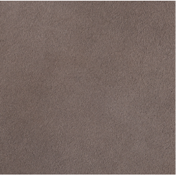 Celeris Suede