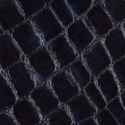 Celeris Faux croc gloss