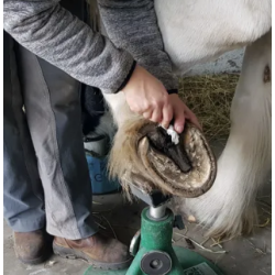 Natures Hoof Help Cleaning Wipes