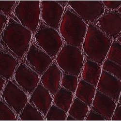 Celeris Faux croc gloss