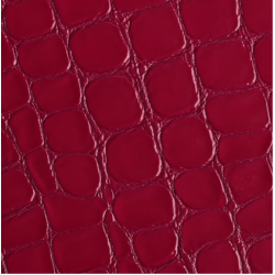 Celeris Faux croc gloss