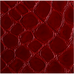 Celeris Faux croc gloss