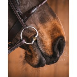 Fager Frans Muffebid