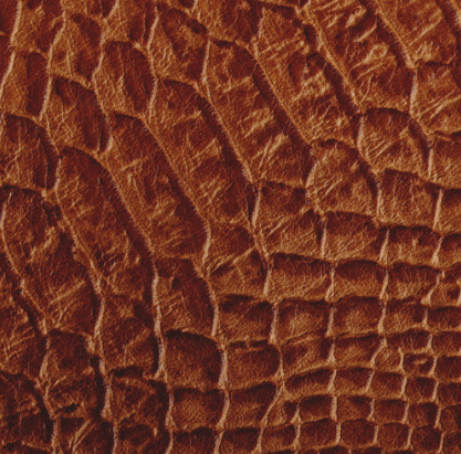 Celeris Faux Iguana