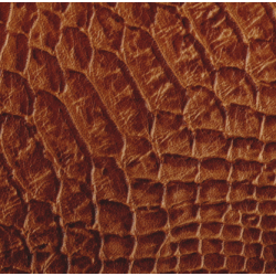 Celeris Faux Iguana