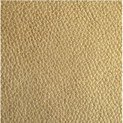 Celeris Textured