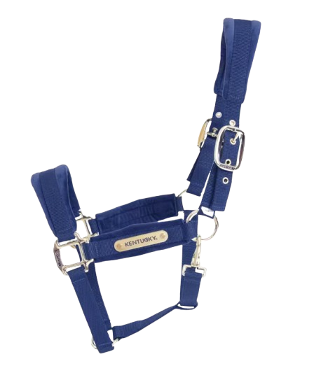 Kentucky Velvet Grime Navy