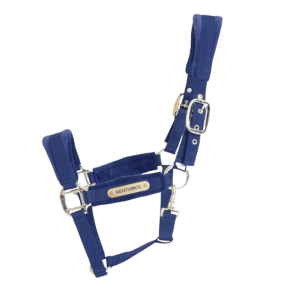 Kentucky Velvet Grime Navy